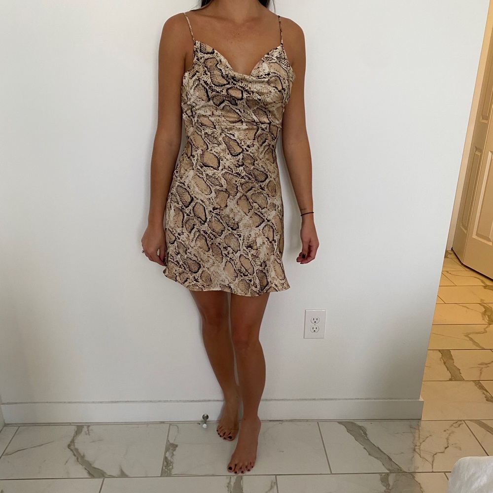 snakeskin silk mini dress
